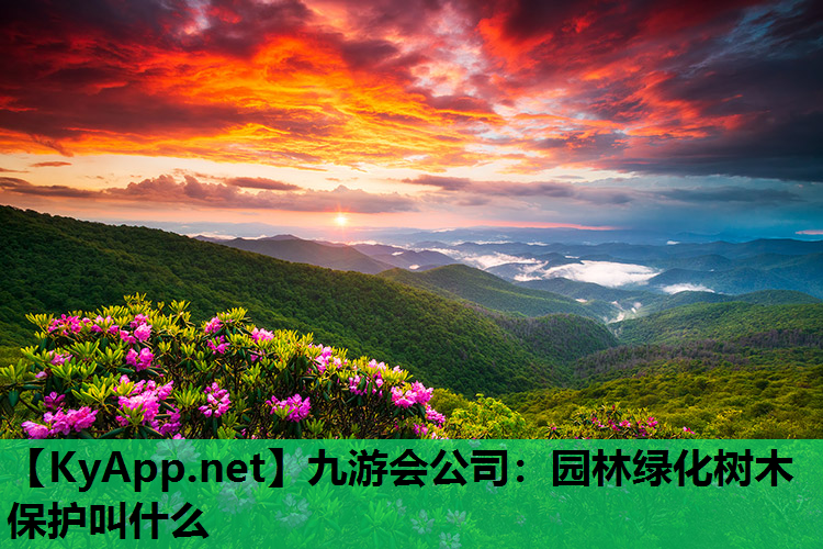 园林绿化树木保护叫什么