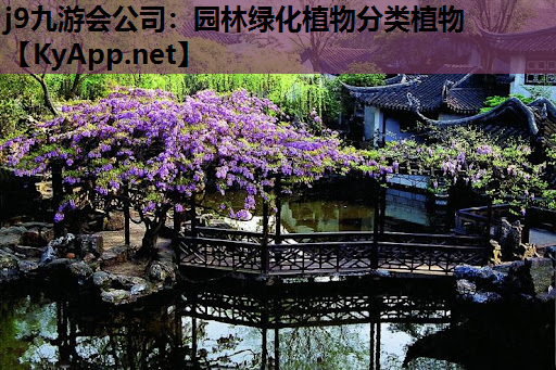 园林绿化植物分类植物