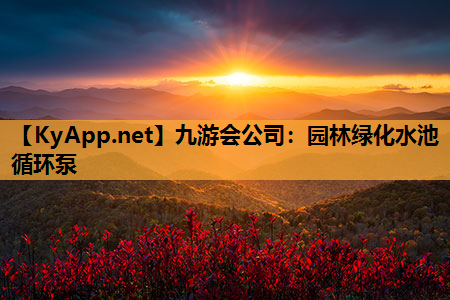 园林绿化水池循环泵