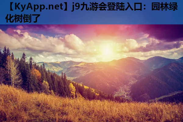 园林绿化树倒了