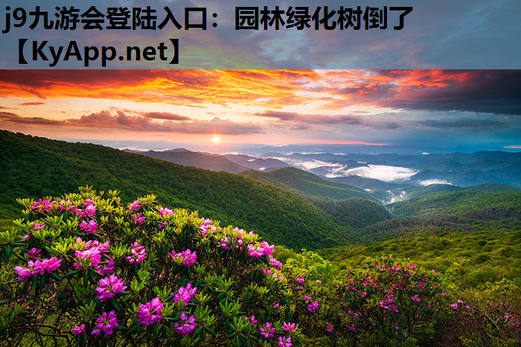 园林绿化树倒了