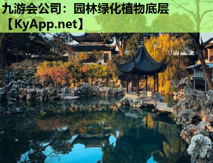 园林绿化植物底层