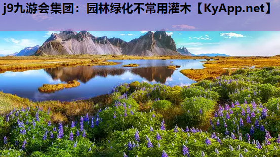 园林绿化不常用灌木