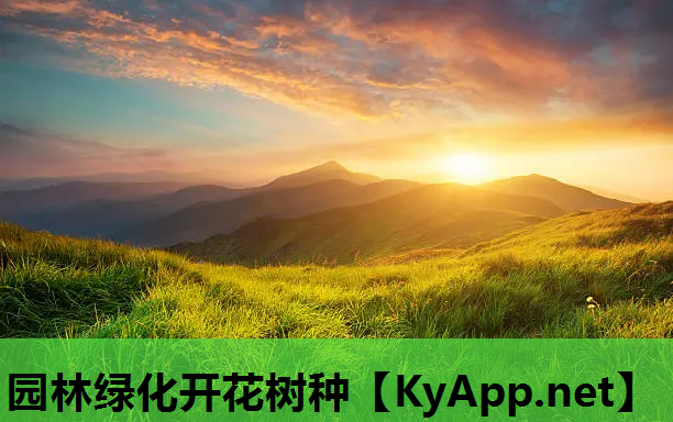 园林绿化开花树种
