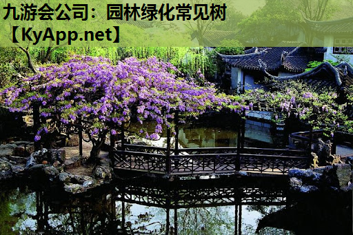 园林绿化常见树