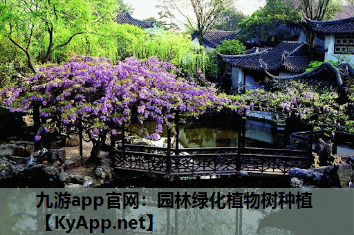 园林绿化植物树种植