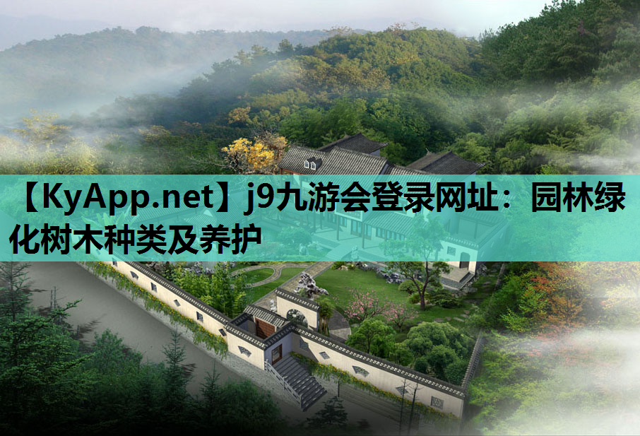 园林绿化树木种类及养护