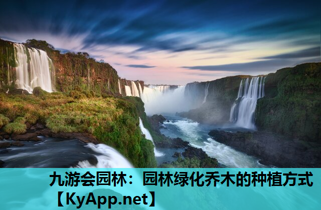 园林绿化乔木的种植方式
