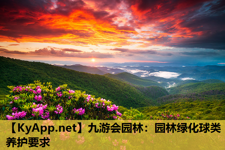 园林绿化球类养护要求