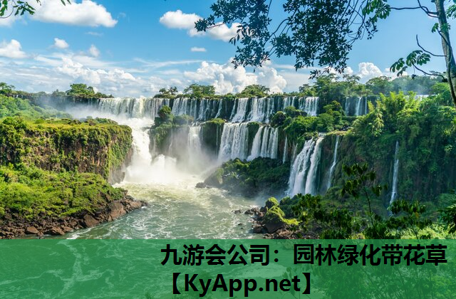 园林绿化带花草