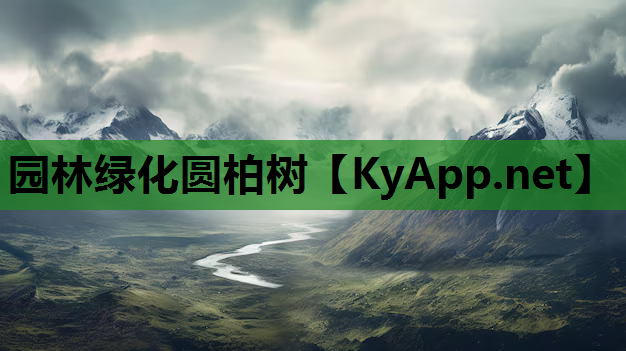 园林绿化圆柏树