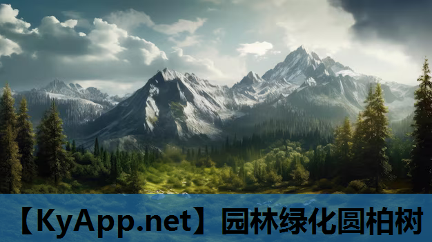 园林绿化圆柏树
