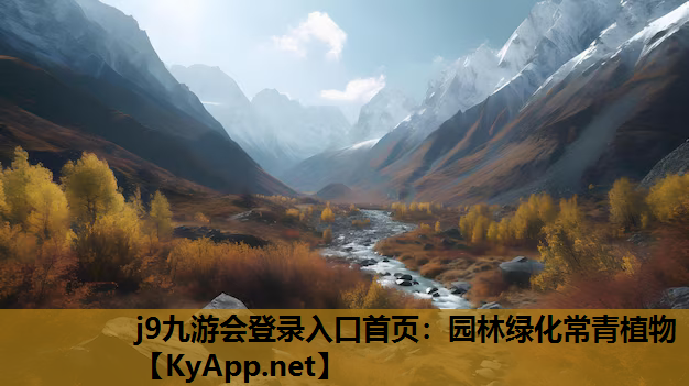 园林绿化常青植物