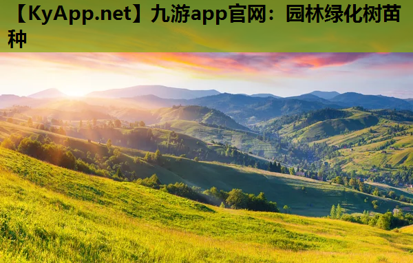 园林绿化树苗种