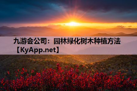 园林绿化树木种植方法