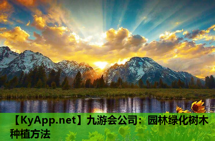 园林绿化树木种植方法