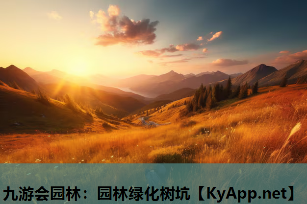 园林绿化树坑