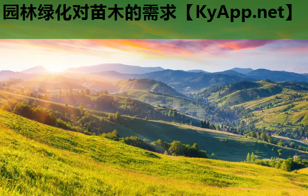园林绿化对苗木的需求