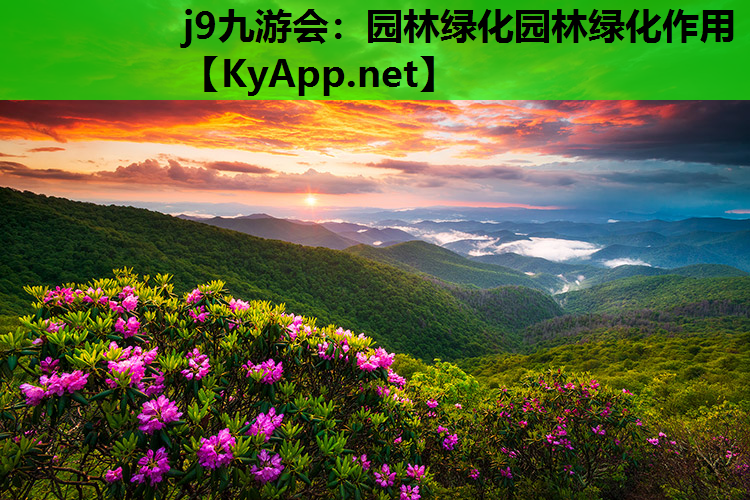 园林绿化园林绿化作用