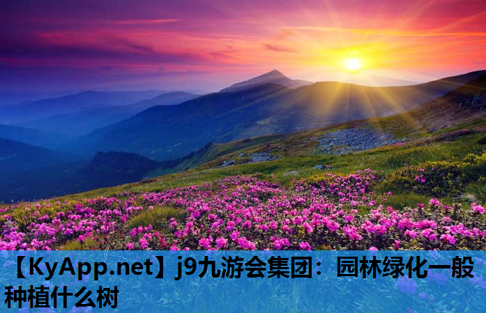 园林绿化一般种植什么树