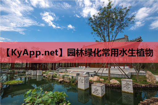 园林绿化常用水生植物