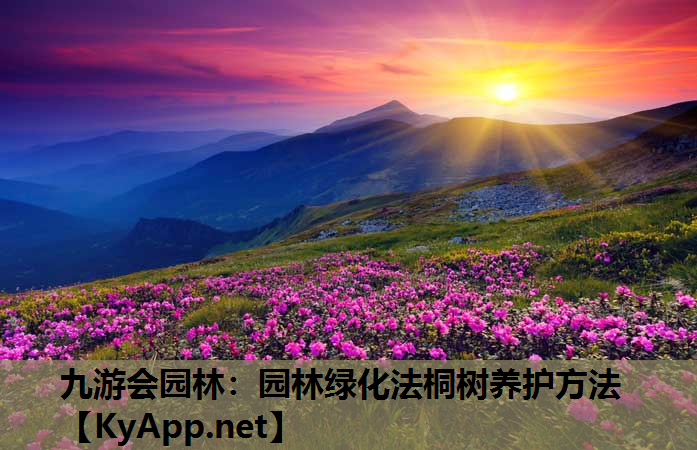 园林绿化法桐树养护方法