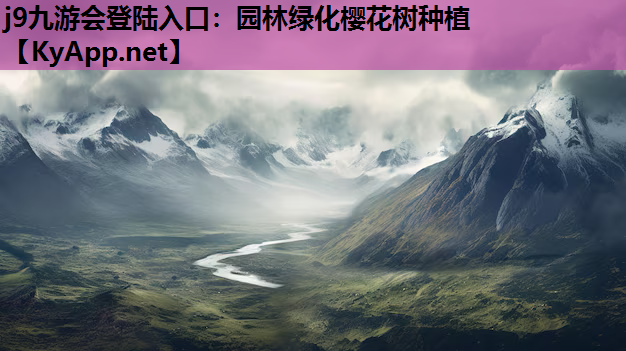 园林绿化樱花树种植
