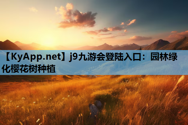 园林绿化樱花树种植