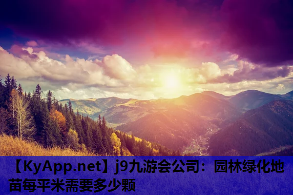 园林绿化地苗每平米需要多少颗