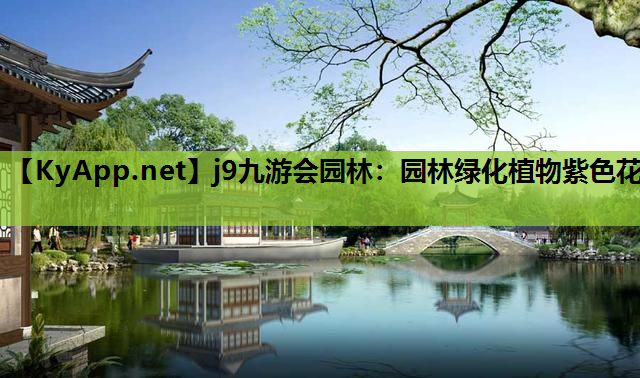 园林绿化植物紫色花