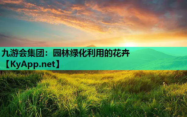 园林绿化利用的花卉