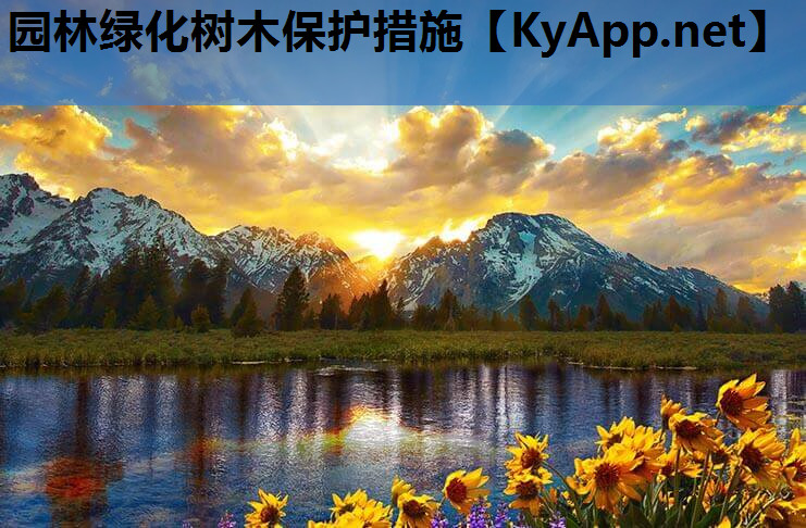 园林绿化树木保护措施