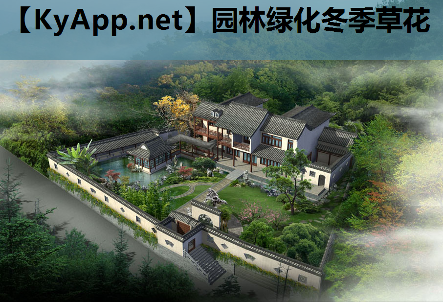 园林绿化冬季草花