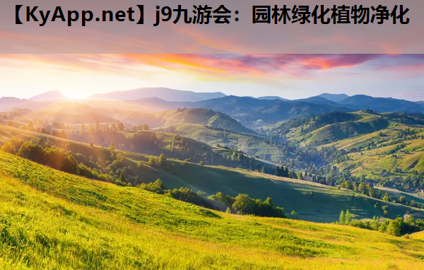 园林绿化植物净化