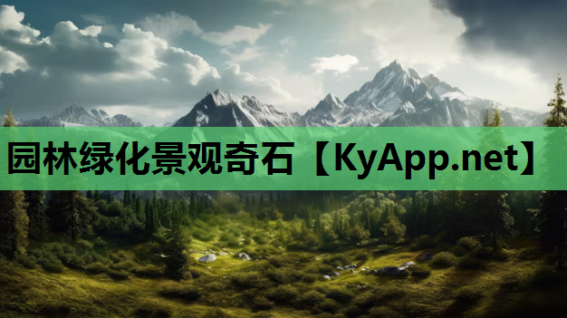 园林绿化景观奇石