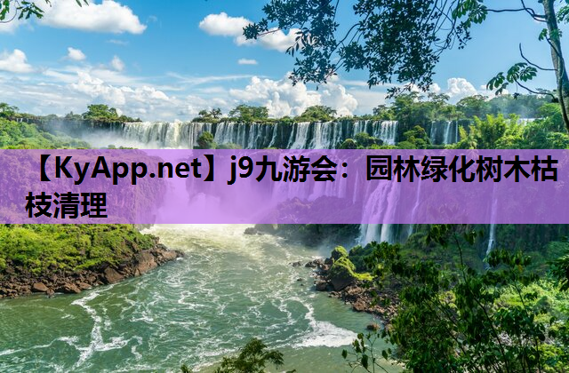 园林绿化树木枯枝清理