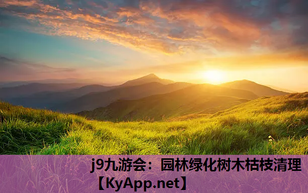 园林绿化树木枯枝清理
