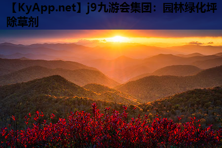 园林绿化坪除草剂