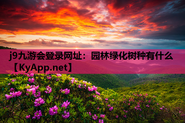 园林绿化树种有什么