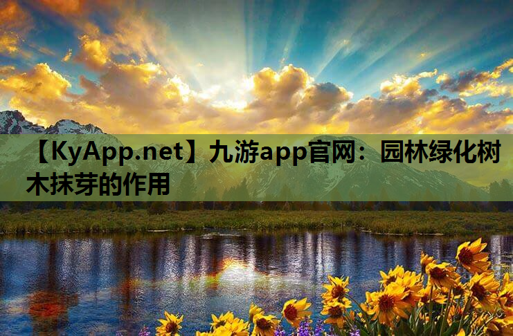 园林绿化树木抹芽的作用