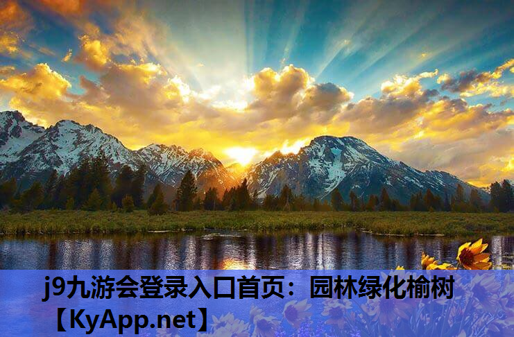 园林绿化榆树