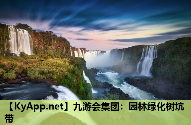 园林绿化树坑带