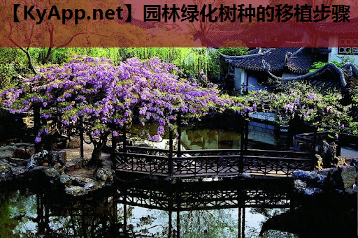 园林绿化树种的移植步骤