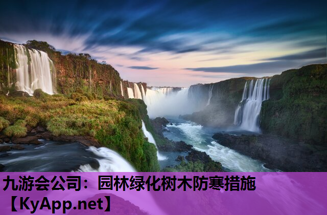 园林绿化树木防寒措施