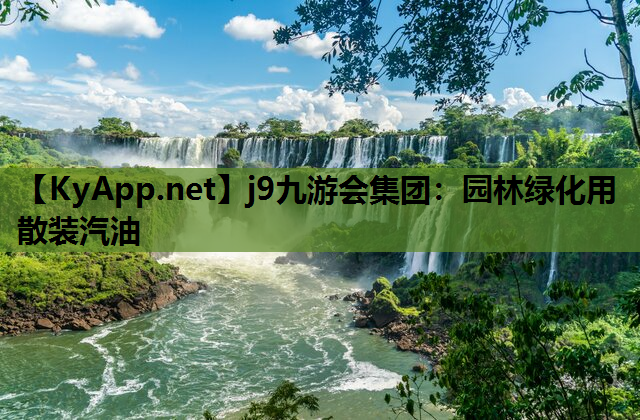 园林绿化用散装汽油