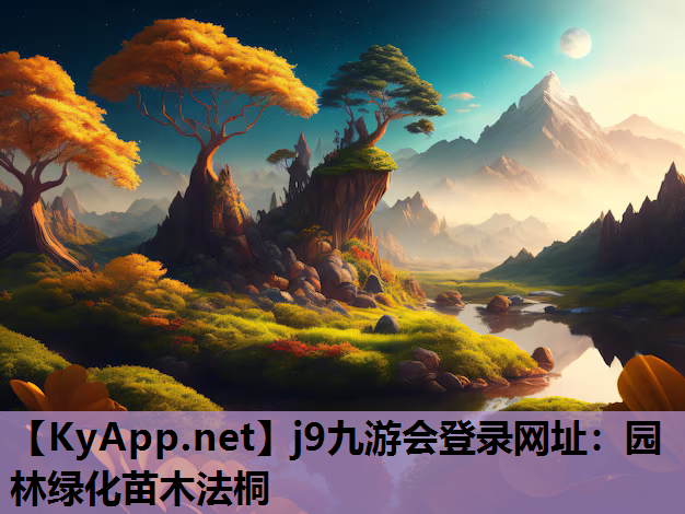 园林绿化苗木法桐 园林绿化苗木法桐