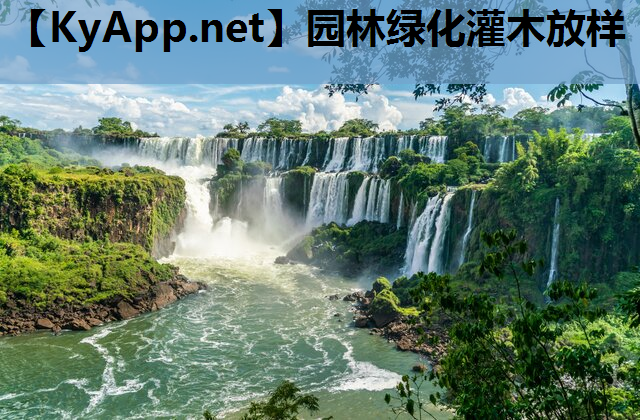 园林绿化灌木放样