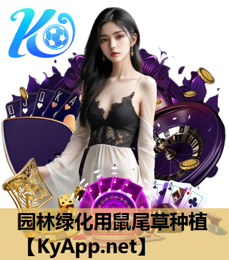 园林绿化用鼠尾草种植