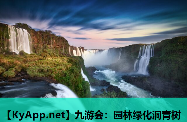 园林绿化洞青树