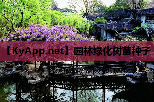 园林绿化树苗种子